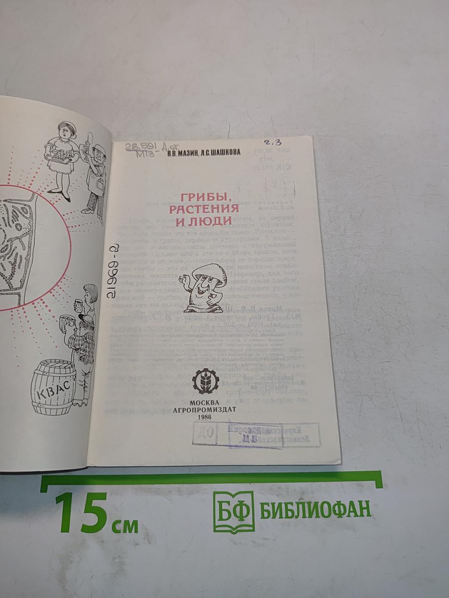 Грибы, растения и люди