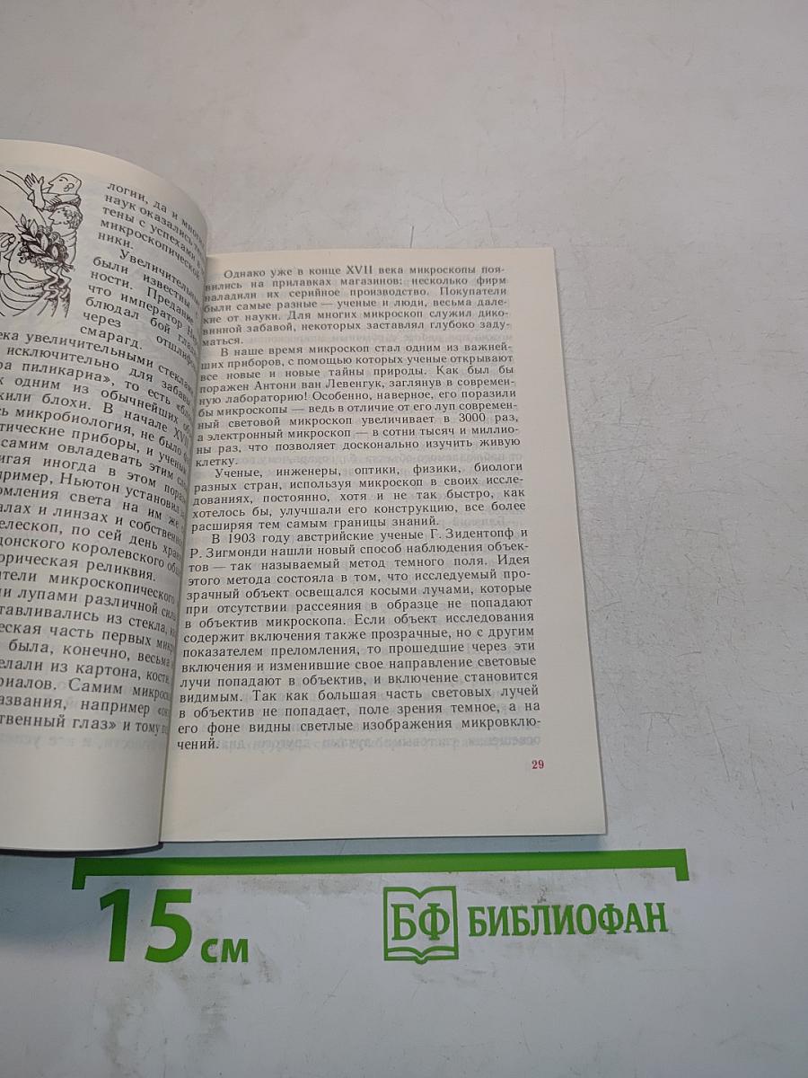 Грибы, растения и люди