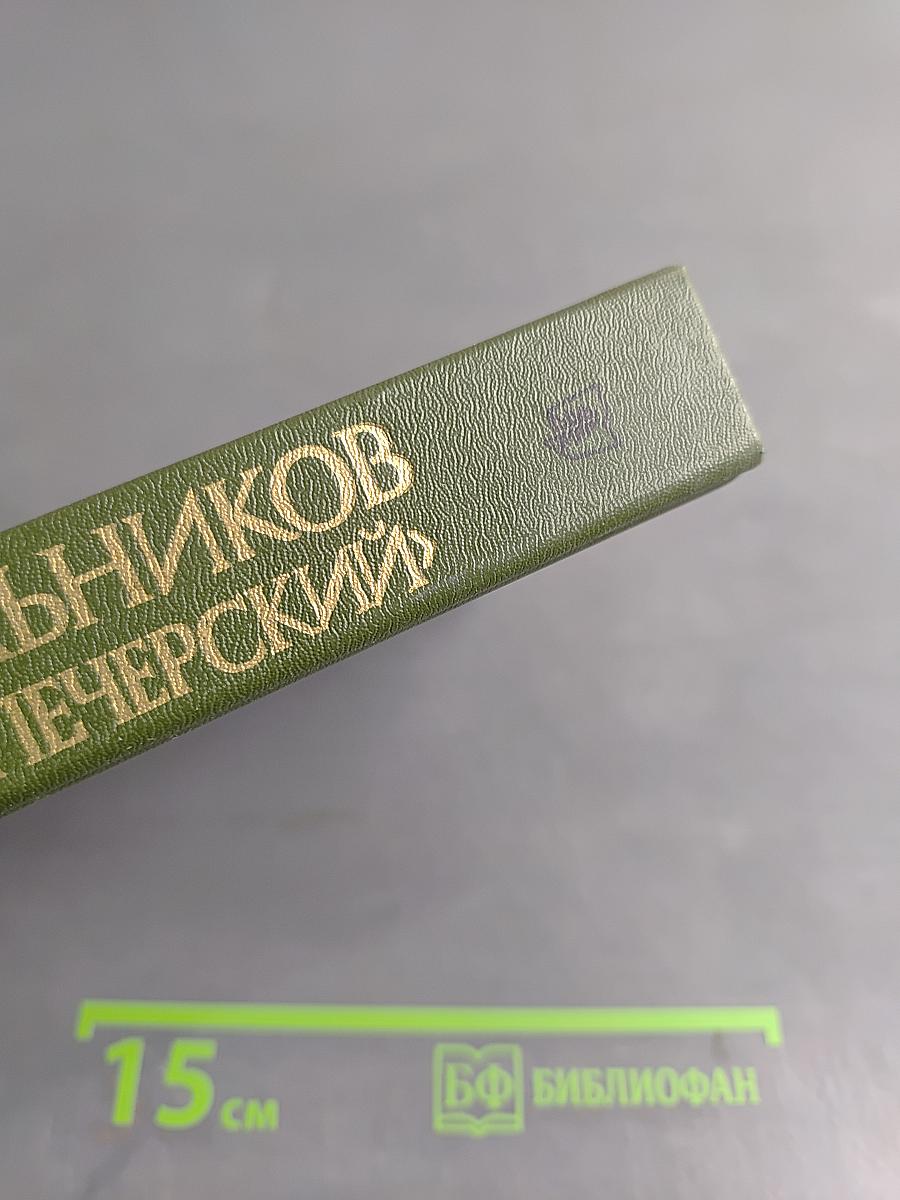 Андрей Печерский. В лесах. Книга вторая