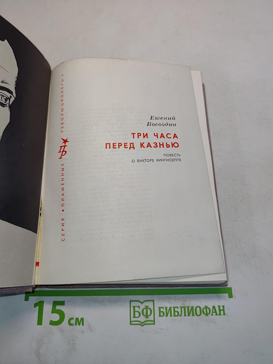 Три часа перед казнью