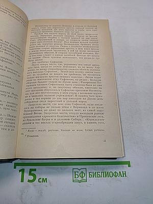 Андрей Печерский. В лесах. Книга вторая