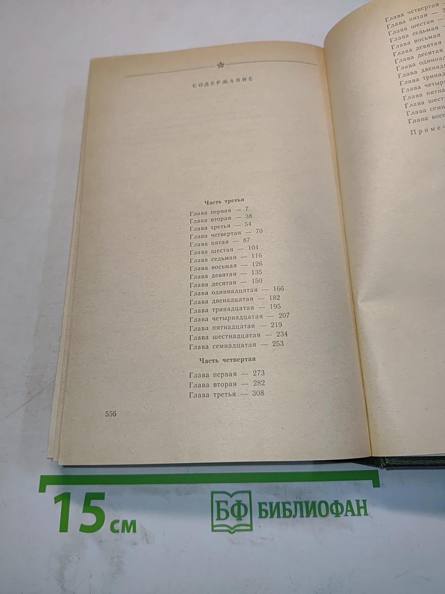 Андрей Печерский. В лесах. Книга вторая