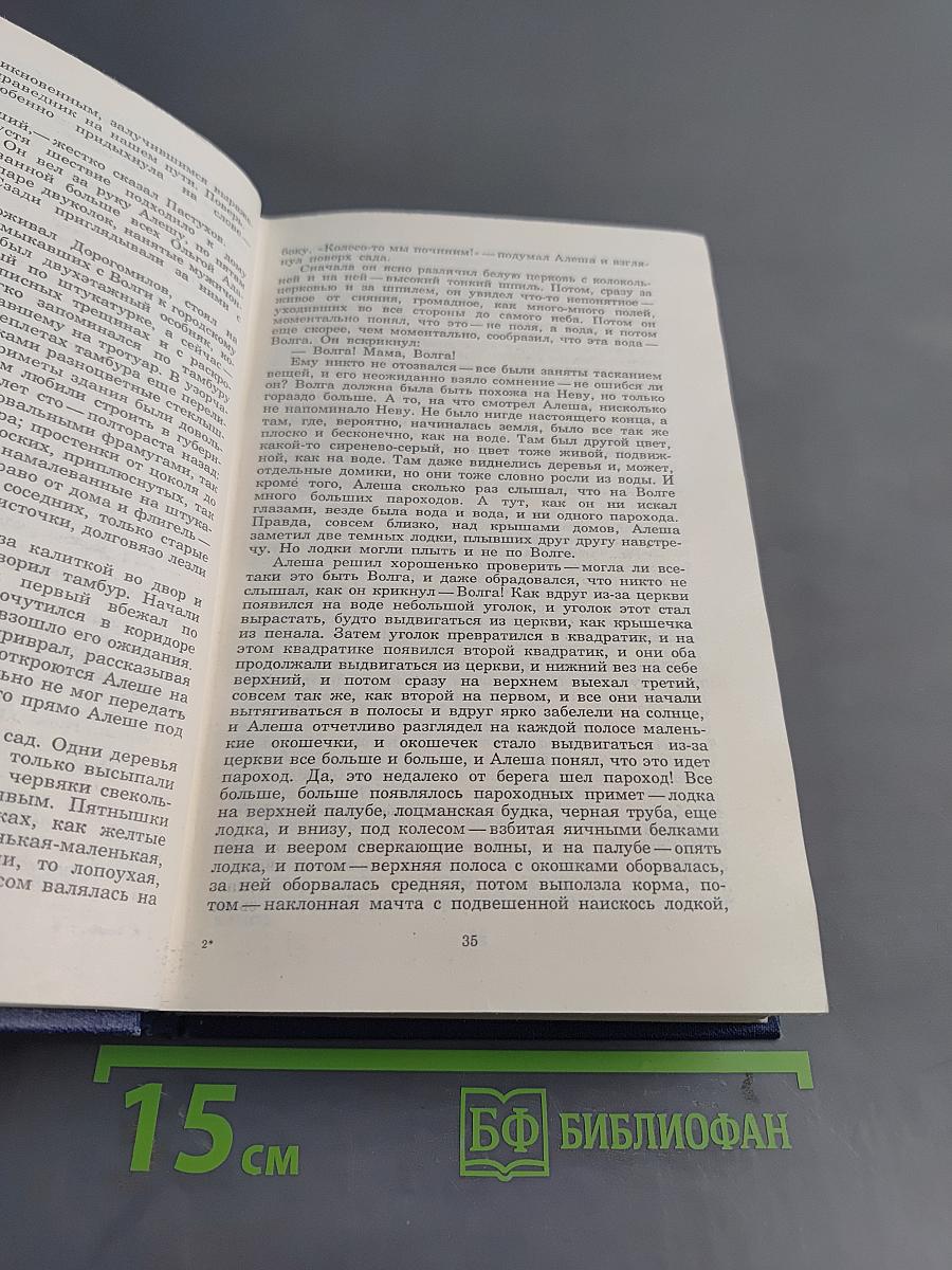 Собрание сочинений. Том шестой. Необыкновенное лето. Роман
