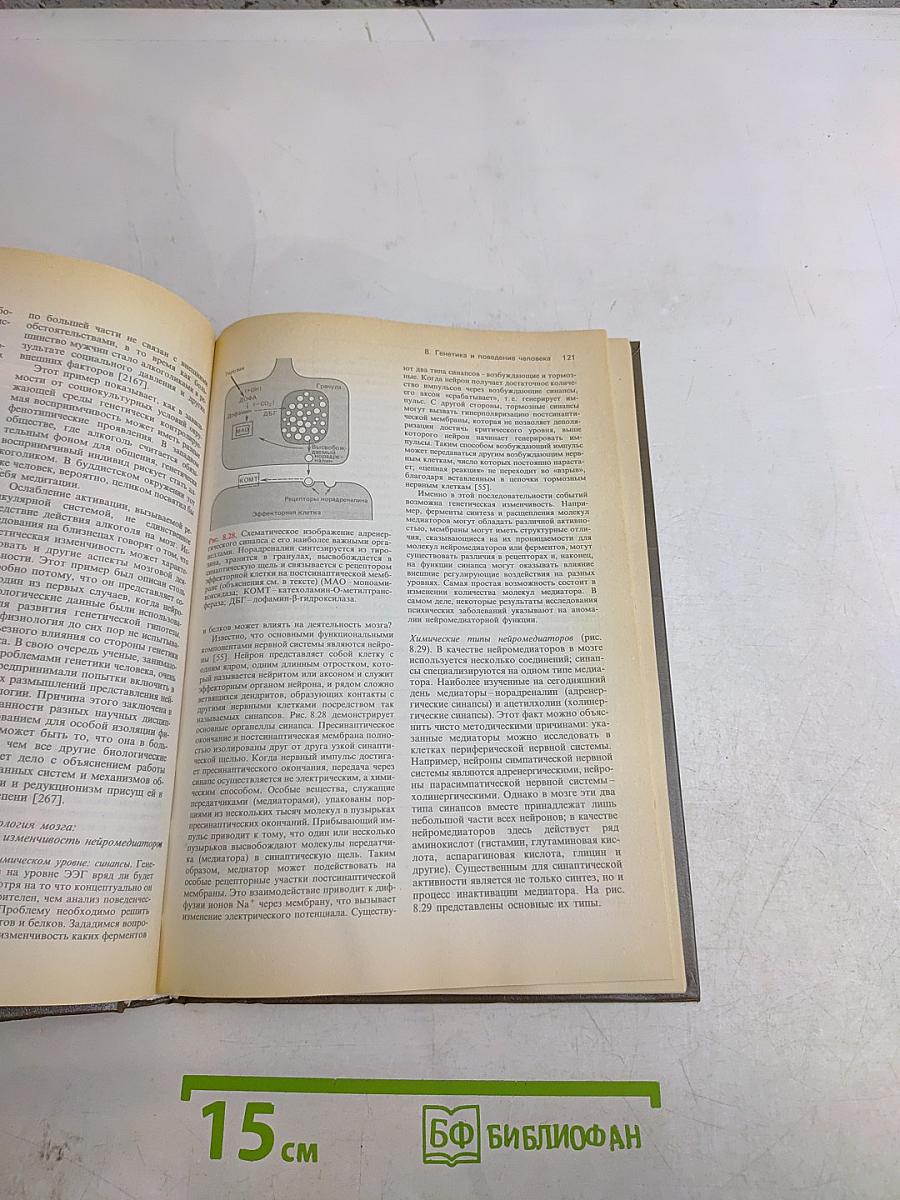 Генетика человека. Том 3. Эволюция человека, генетика поведения, практические аспекты