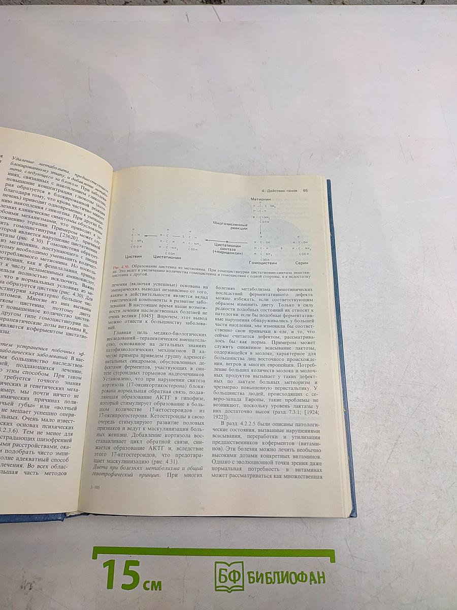 Генетика человека. Том 2. Действие генов. Мутации. Популяционная генетика