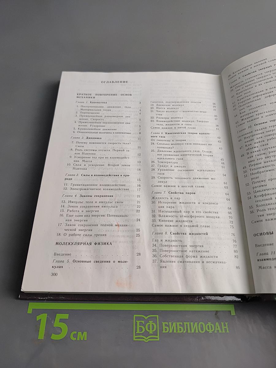 Физика. Учебник для 10 класса