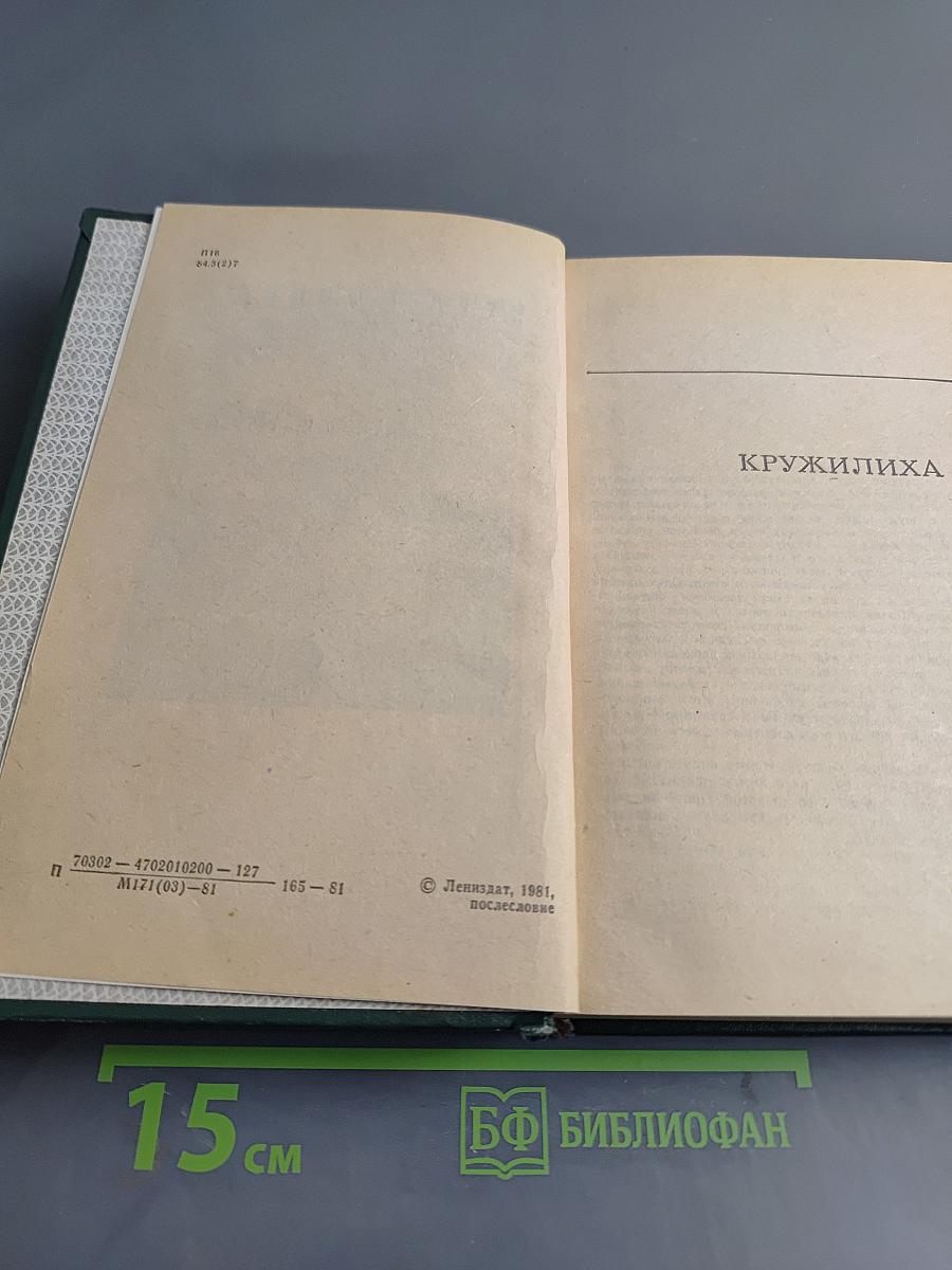 Кружилиха. Спутники