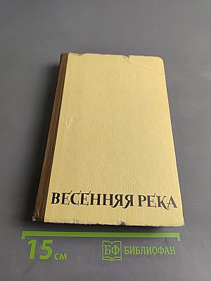 Весенняя река