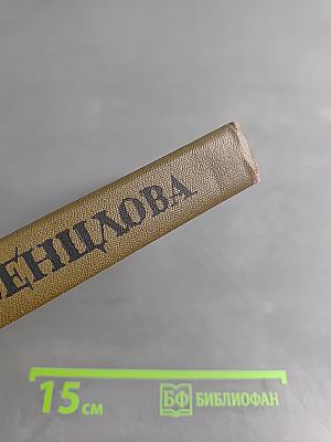 Весенняя река