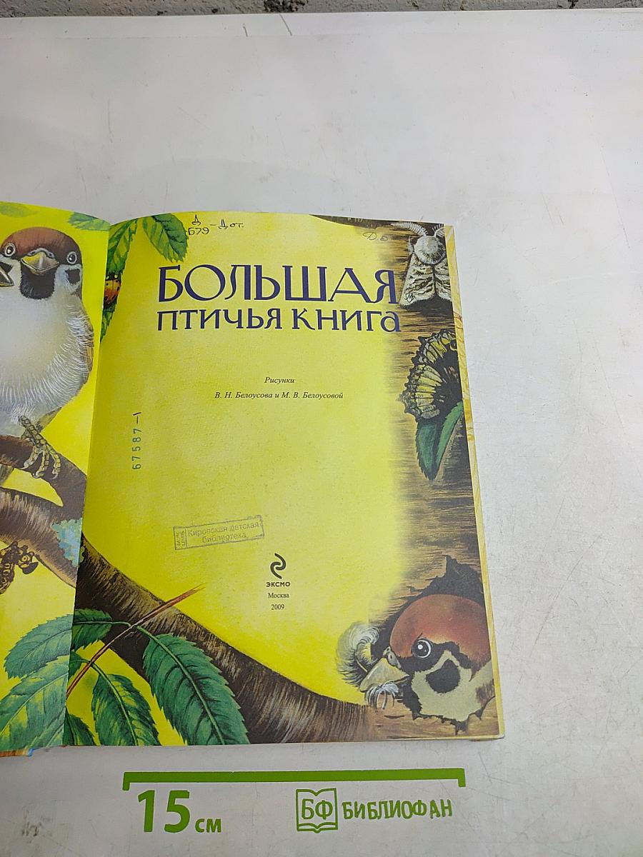 Большая птичья книга
