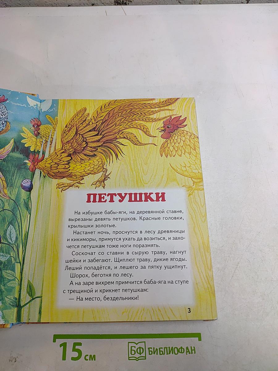 Большая птичья книга