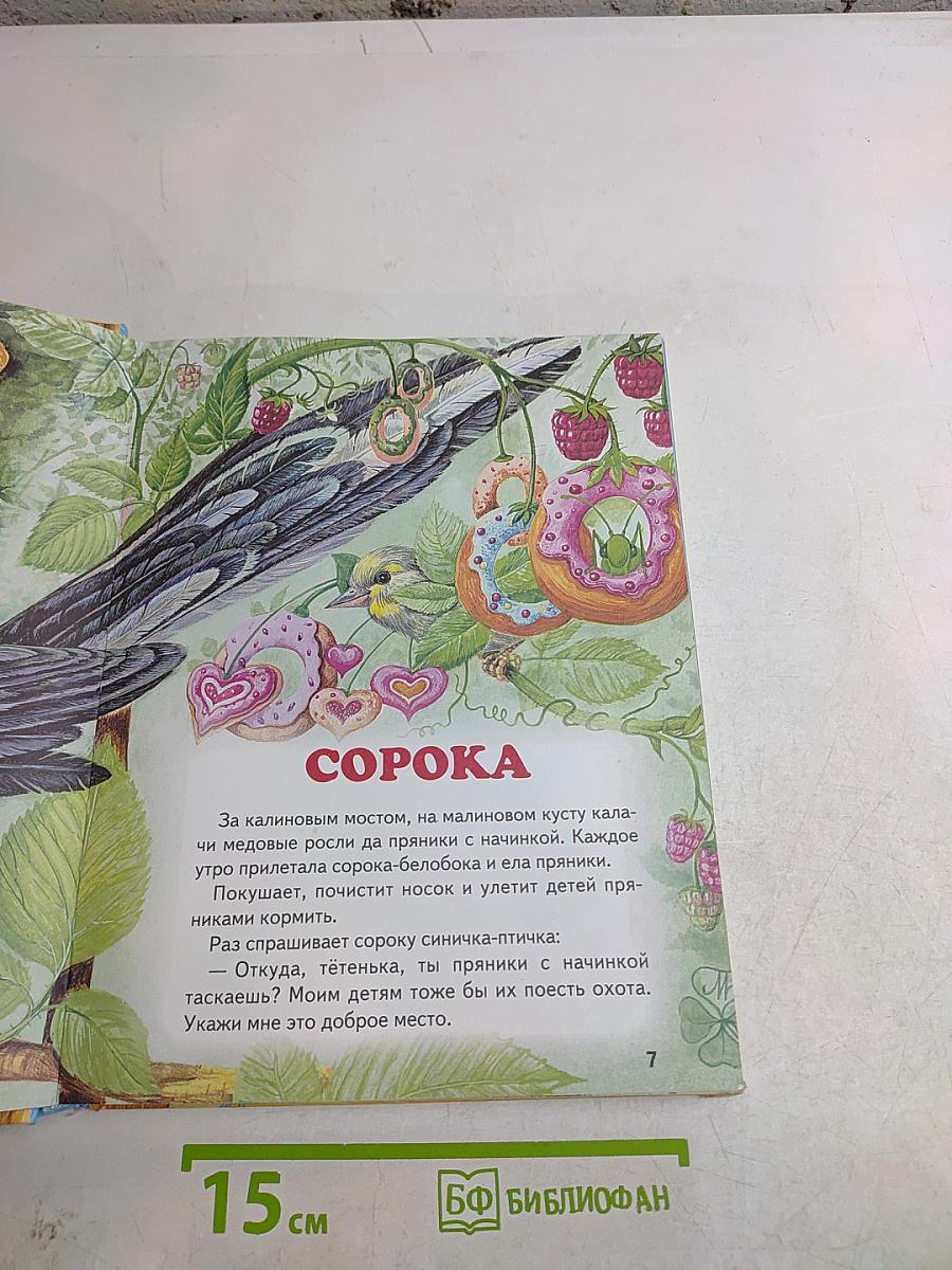 Большая птичья книга