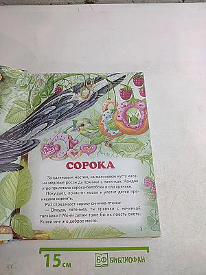 Большая птичья книга