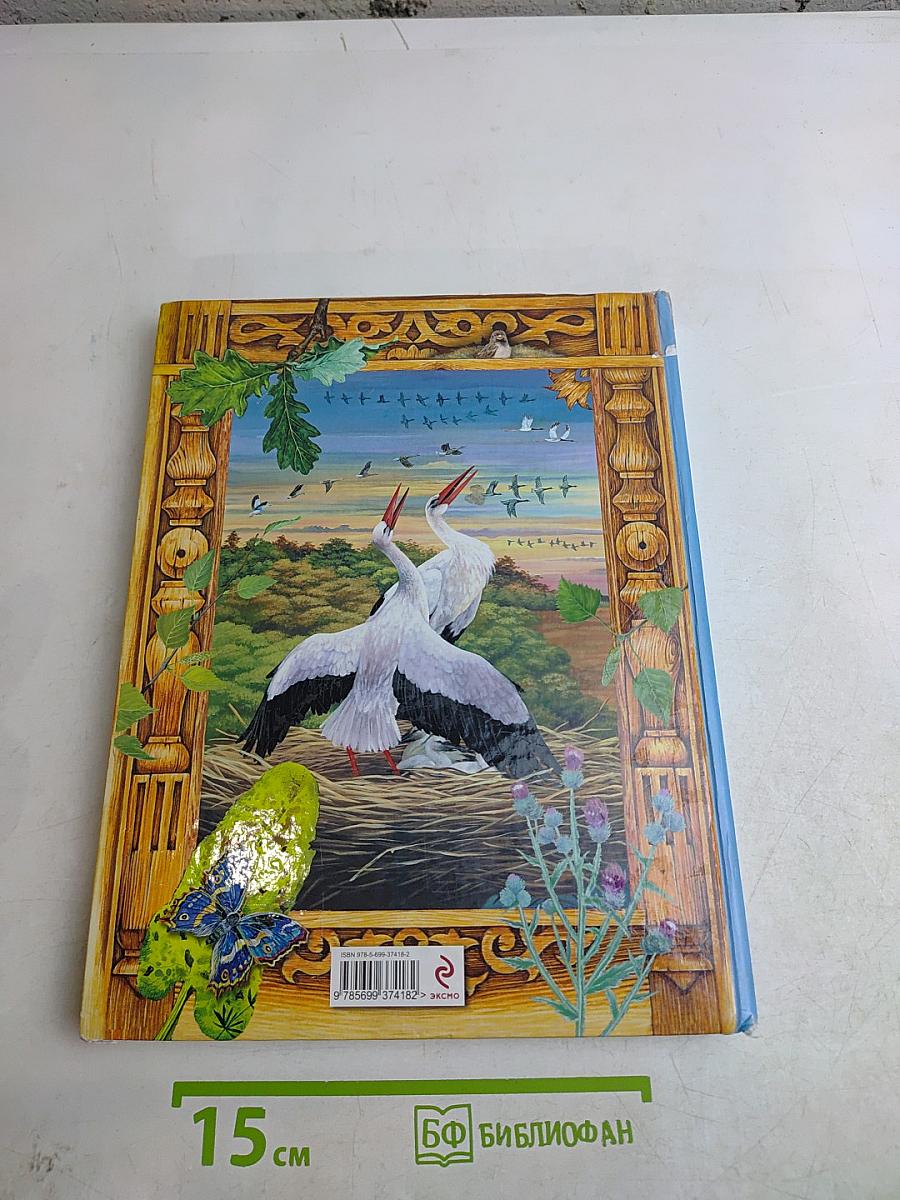 Большая птичья книга