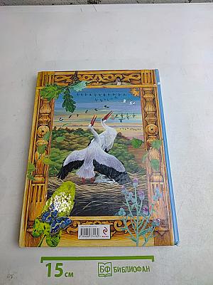 Большая птичья книга