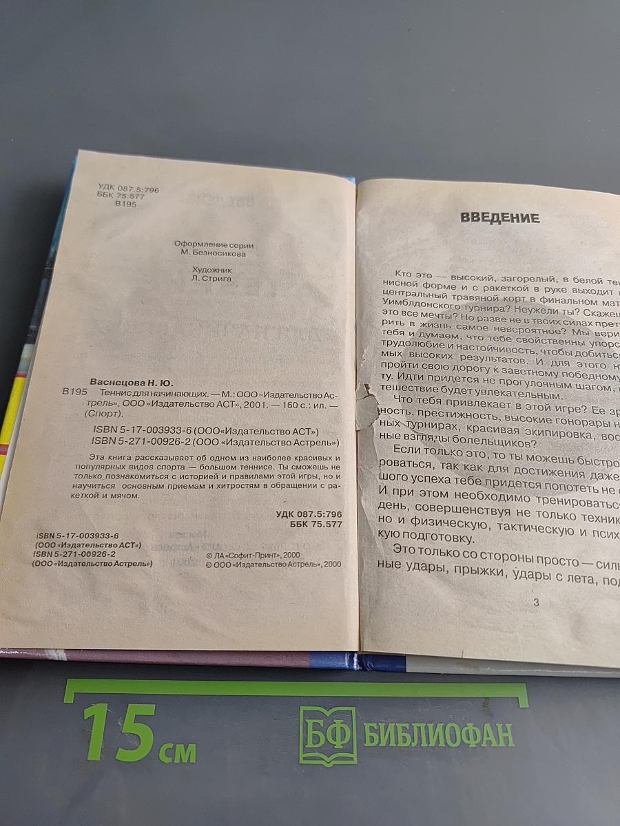 Теннис для начинающих