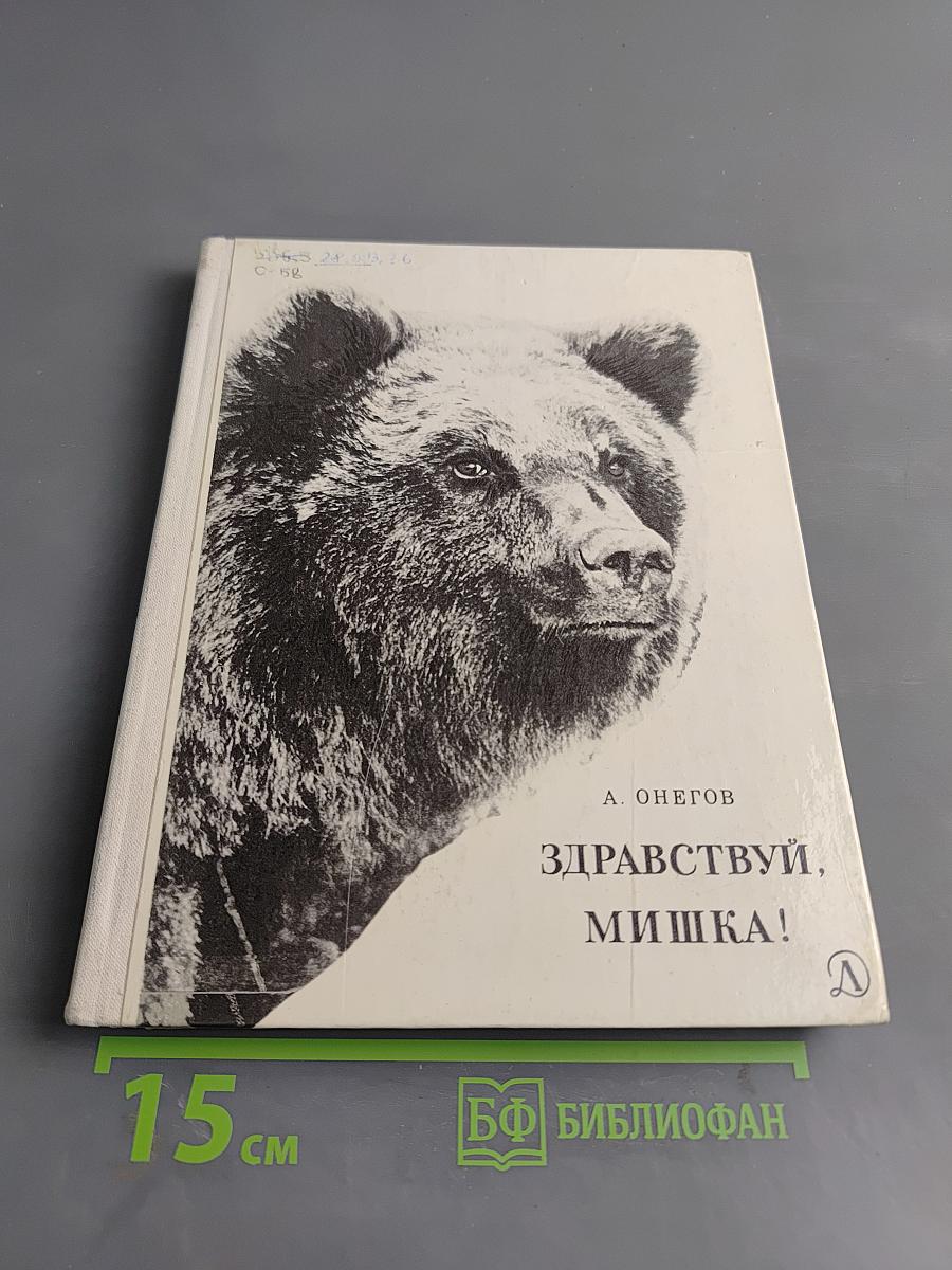 Здравствуй, Мишка!