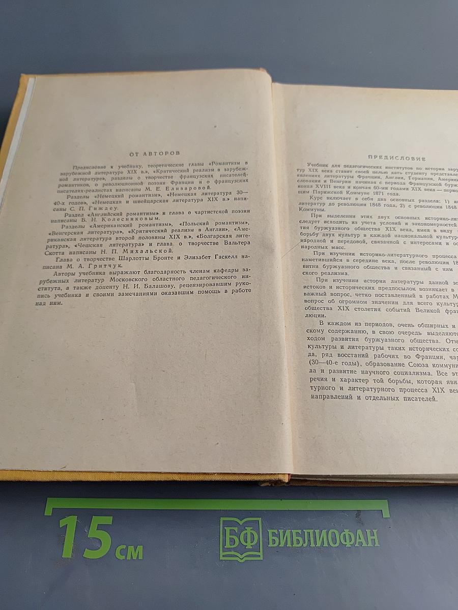 История зарубежной литературы XIX века
