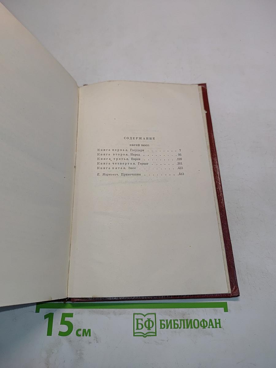 Еврей Зюсс. Собрание сочинений. Том второй