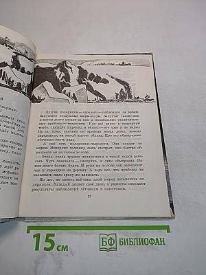 Твоя Арктика