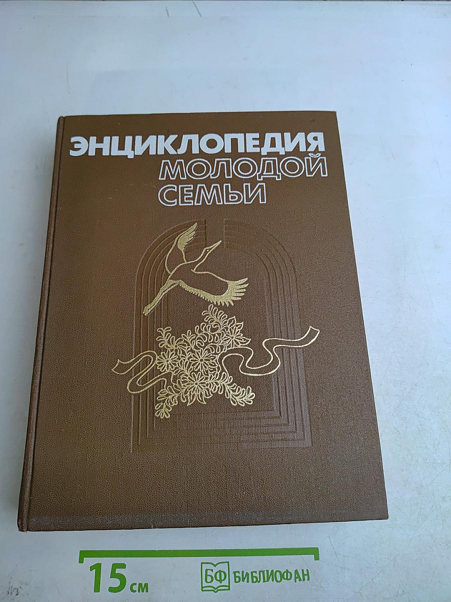Энциклопедия молодой семьи