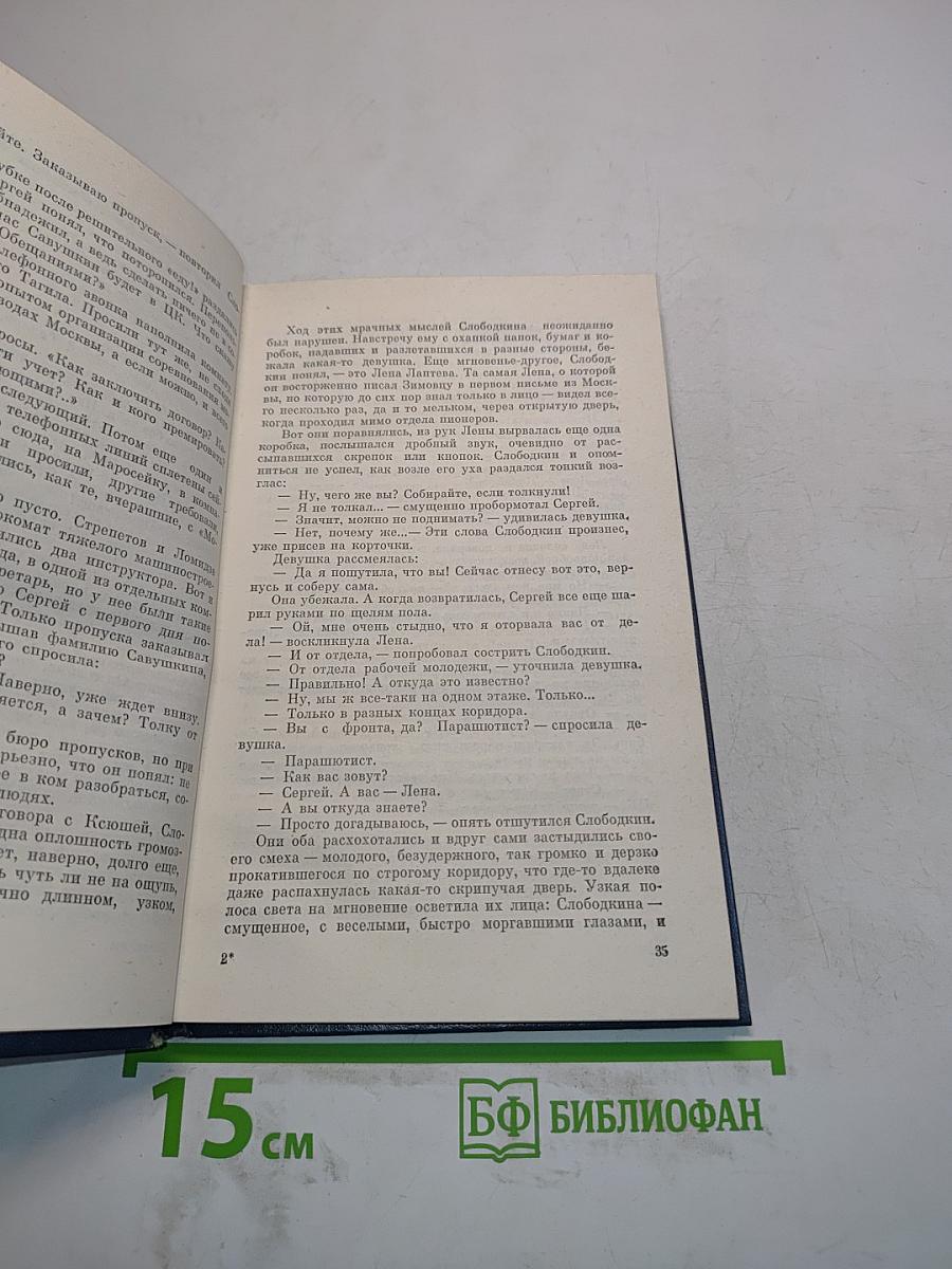 Полынь на снегу