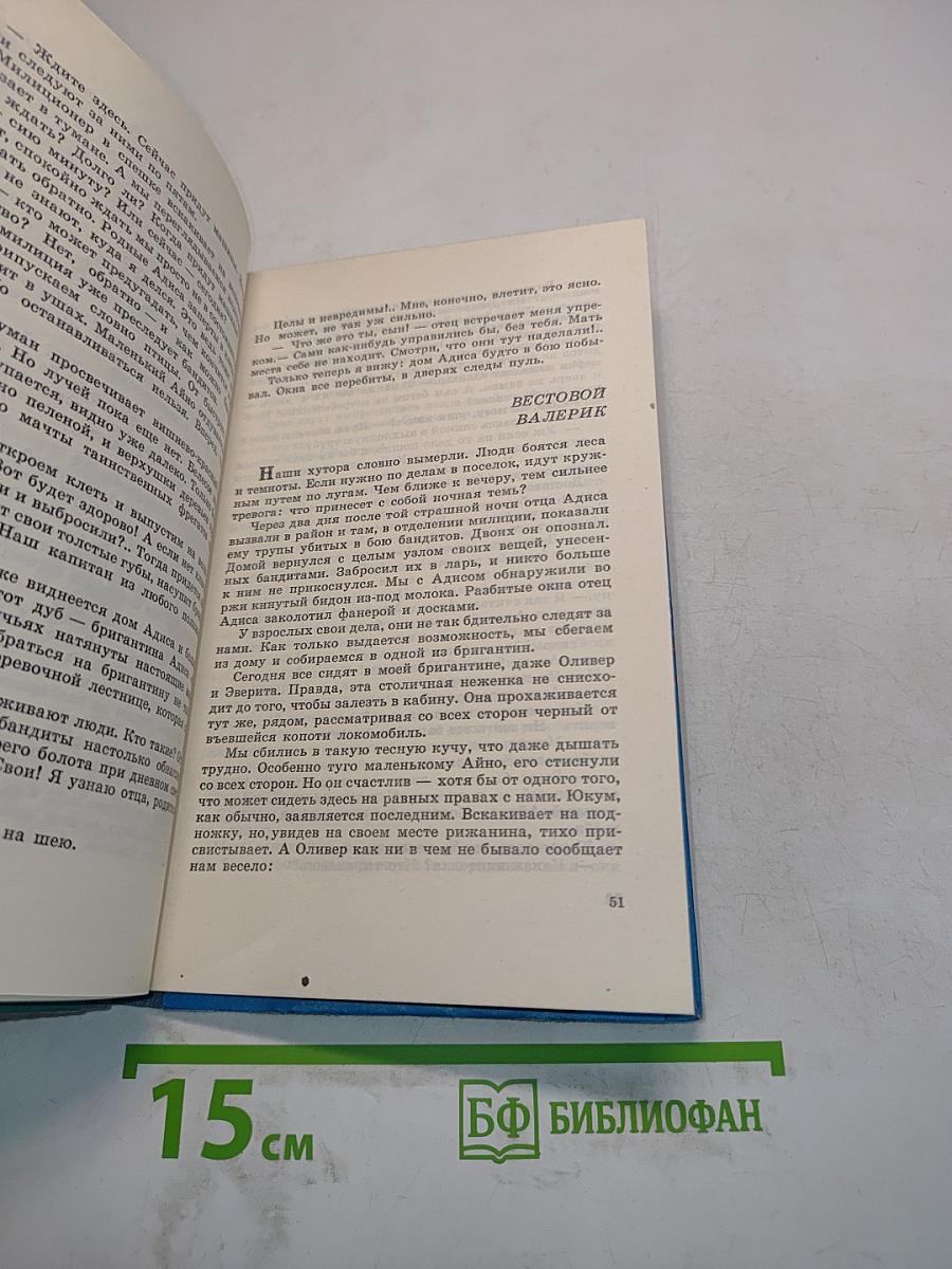 Бригантины и капитаны
