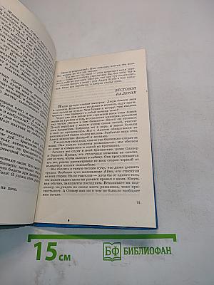 Бригантины и капитаны