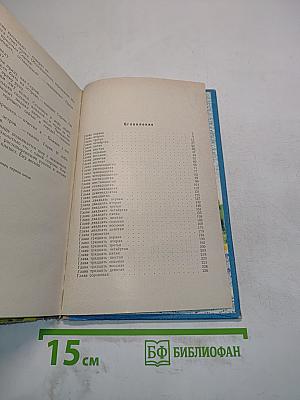 Президент Каменного острова