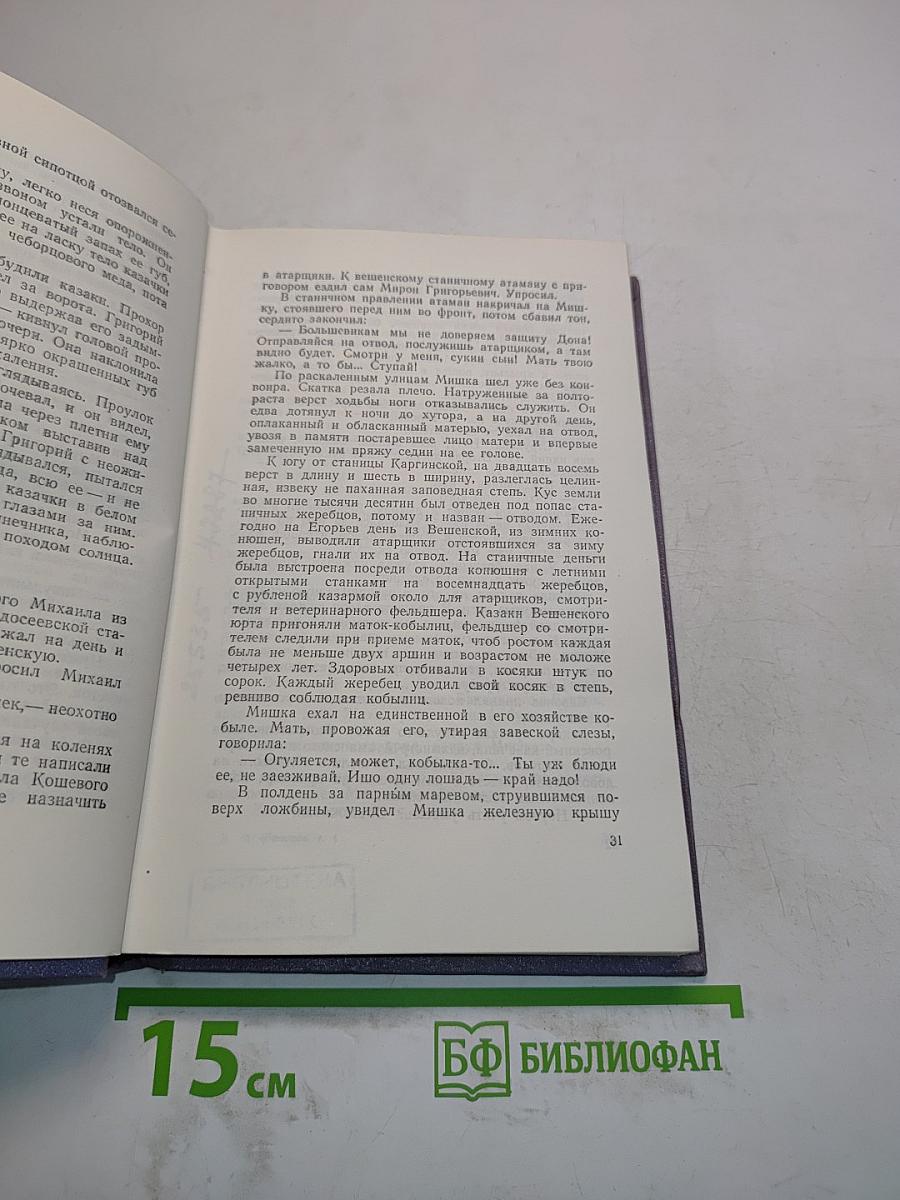 Тихий Дон. Роман в четырех книгах. Книга третья