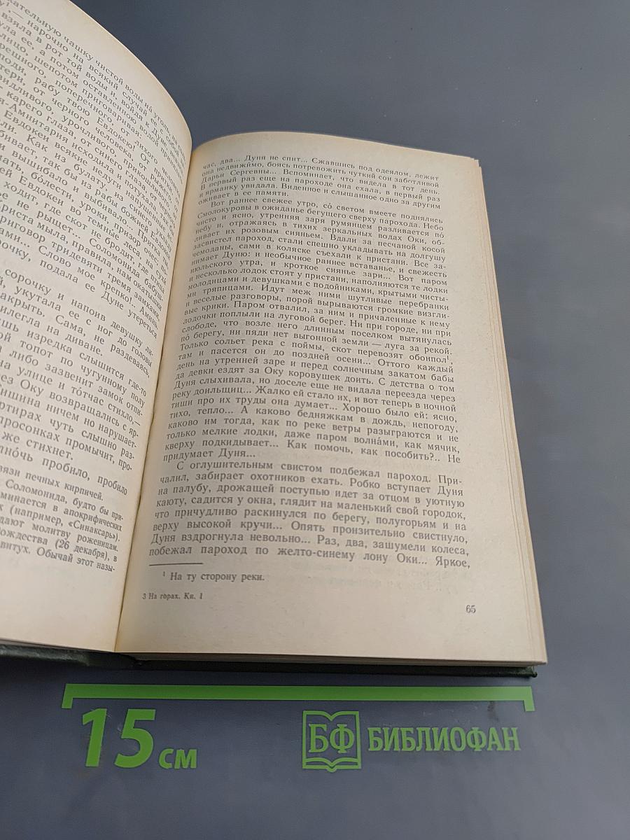 На горах. Книга первая