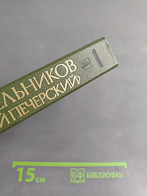 На горах. Книга первая