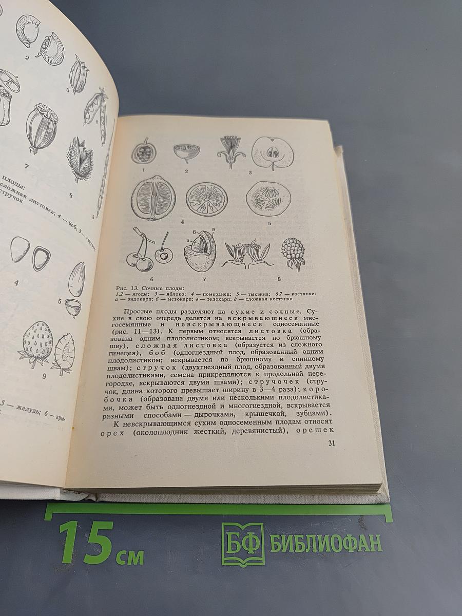Лекарственные растения. Справочник