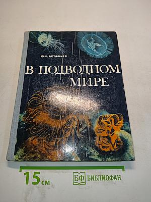 В подводном мире