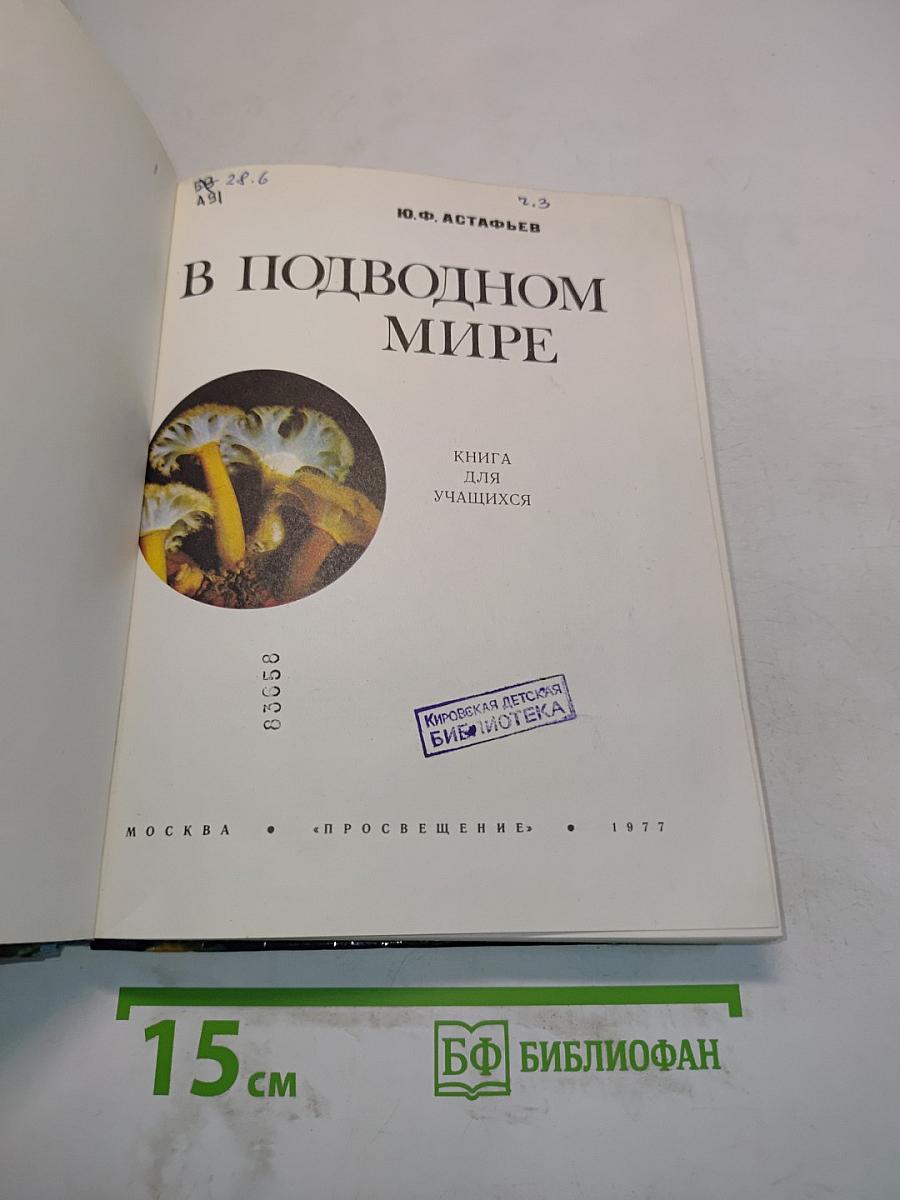 В подводном мире