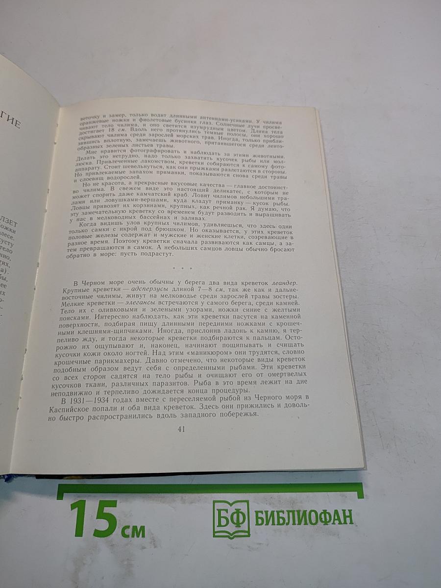 В подводном мире