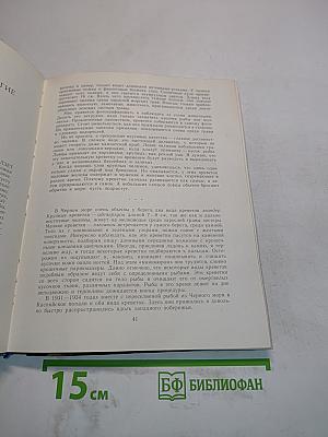 В подводном мире