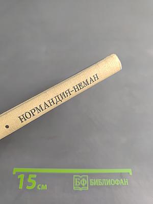 Нормандия-Неман. Воспоминания летчика