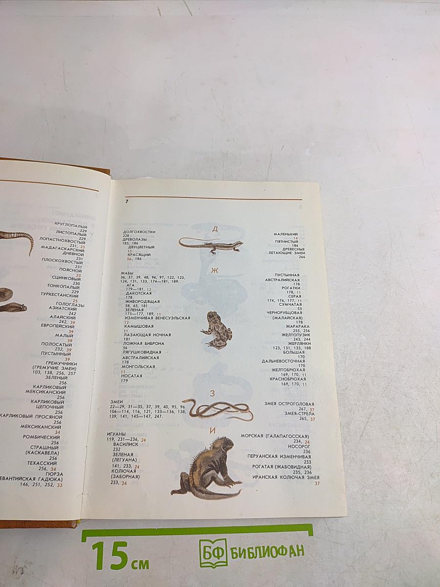 Соседи по планете