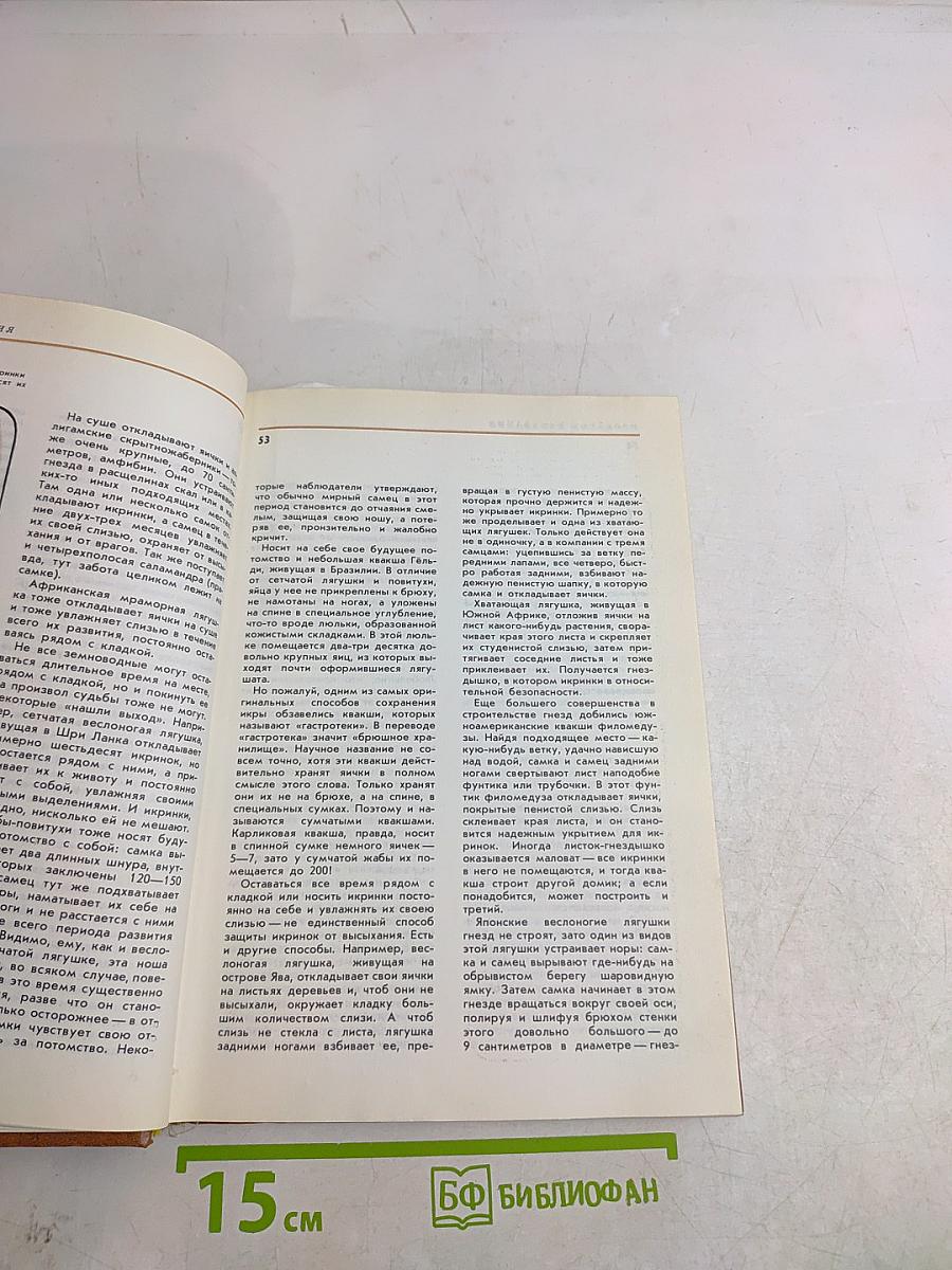 Соседи по планете