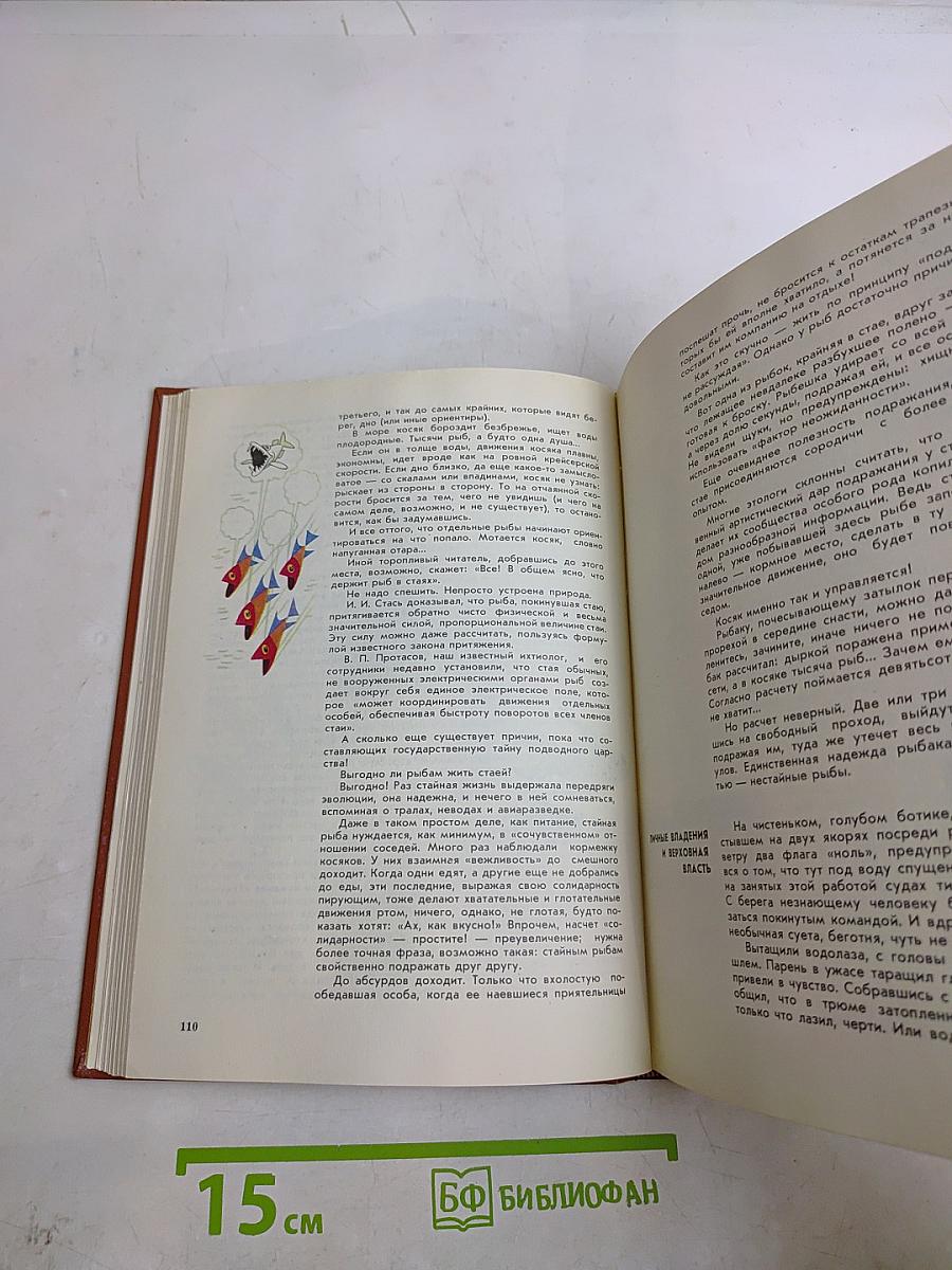 Мир животных