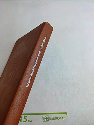 Мир животных