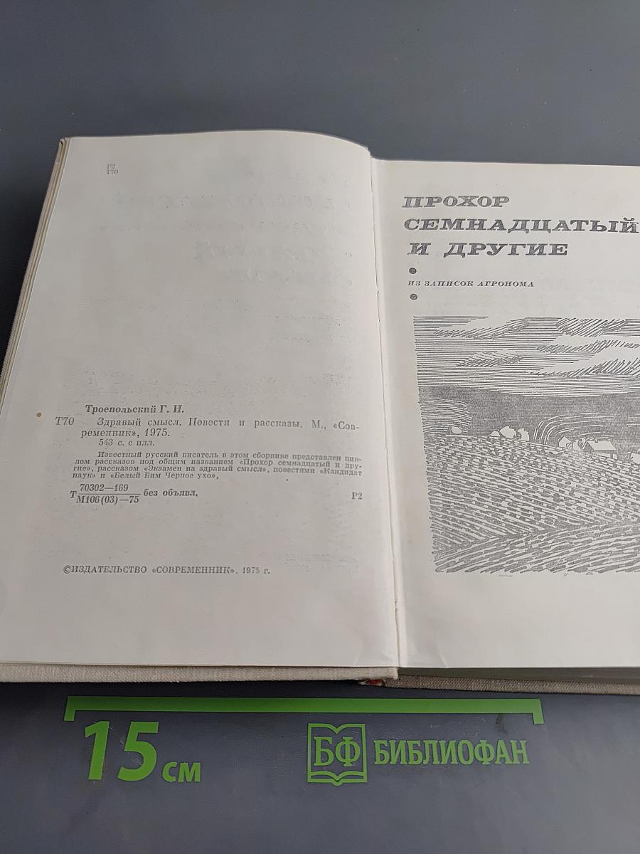 Здравый смысл. Повести и рассказы