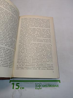 Персональных дел мастер