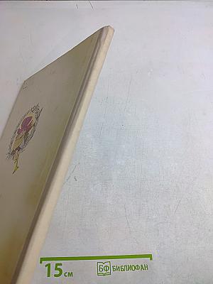 Площадь картонных часов