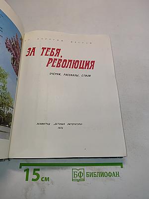 За тебя, Революция