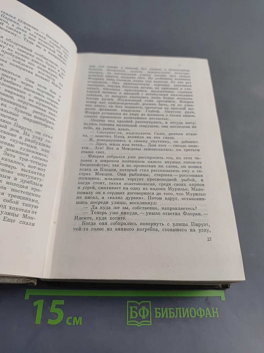 Собрание сочинений. Том четвертый. Ругон-Маккары. Чрево Парижа. Завоевание Плассана