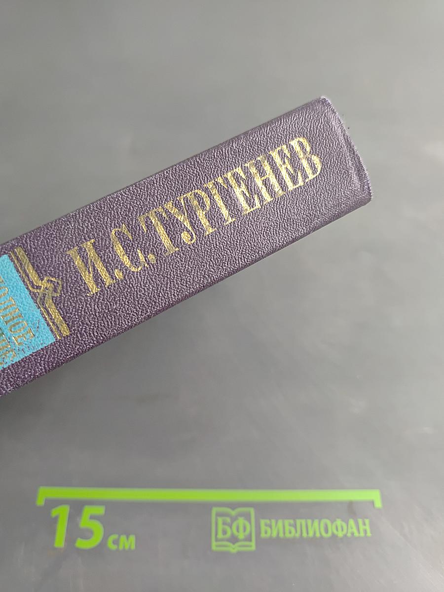 Сочинения. Том пятый. Повести и рассказы 1853-1857 годов. Рудин. Статьи и воспоминания 1855-1860