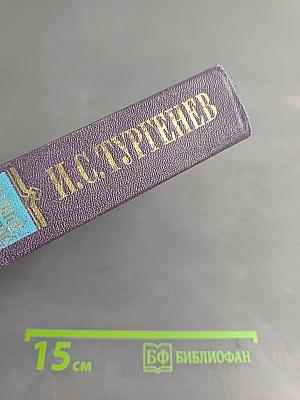 Сочинения. Том пятый. Повести и рассказы 1853-1857 годов. Рудин. Статьи и воспоминания 1855-1860