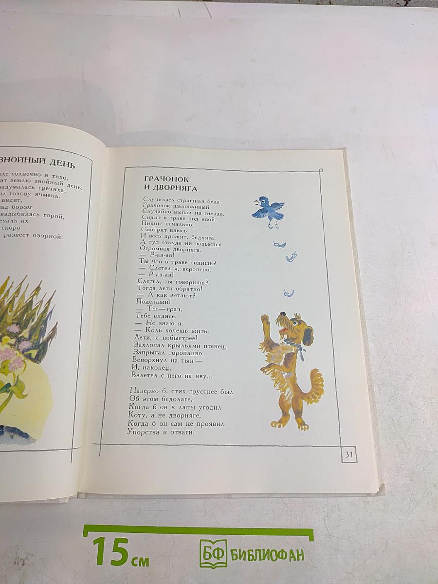 Солнце землю радует